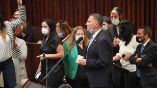 יולי אדלשטיין