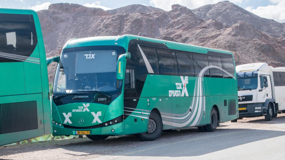"הולך וגדל מספר הנוסעים בתחבורה ציבורית שאינם מתקפים". ארכיון (צילום: shutterstock) אוטובוס אגד