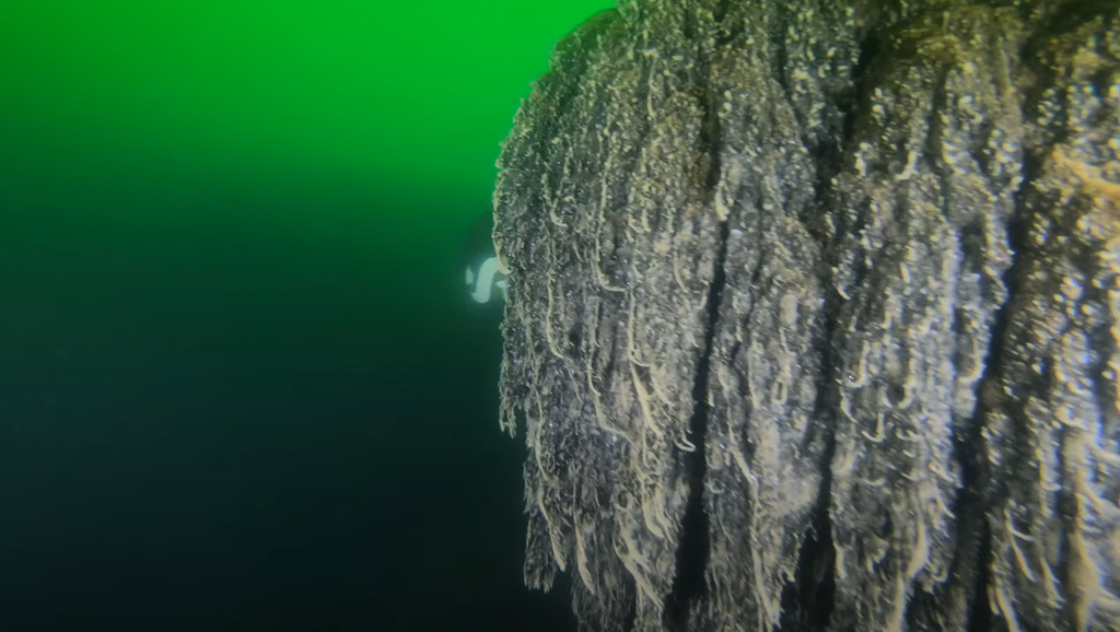 stalactite underwater in the secret lake in the Arava Desert 