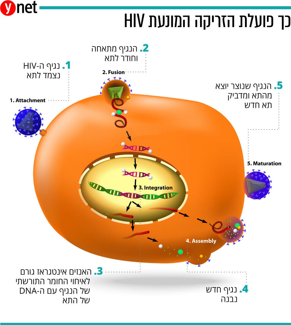 אינפו זריקת HIv