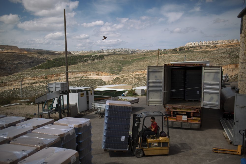  an Israeli worker transports wine bottles in a winery at the West Bank Jewish settlement of Psagot 