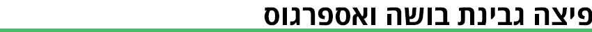 ביניים (גרפיקה ynet) ביניים