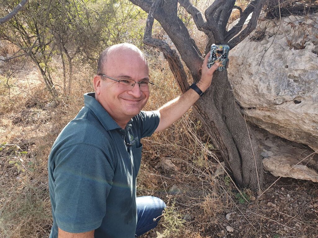 ידוב ומצלמה מוסוות (צילום: מצלמות השבילים של החברה להגנת הטבע) ידוב ומצלמה מוסוות