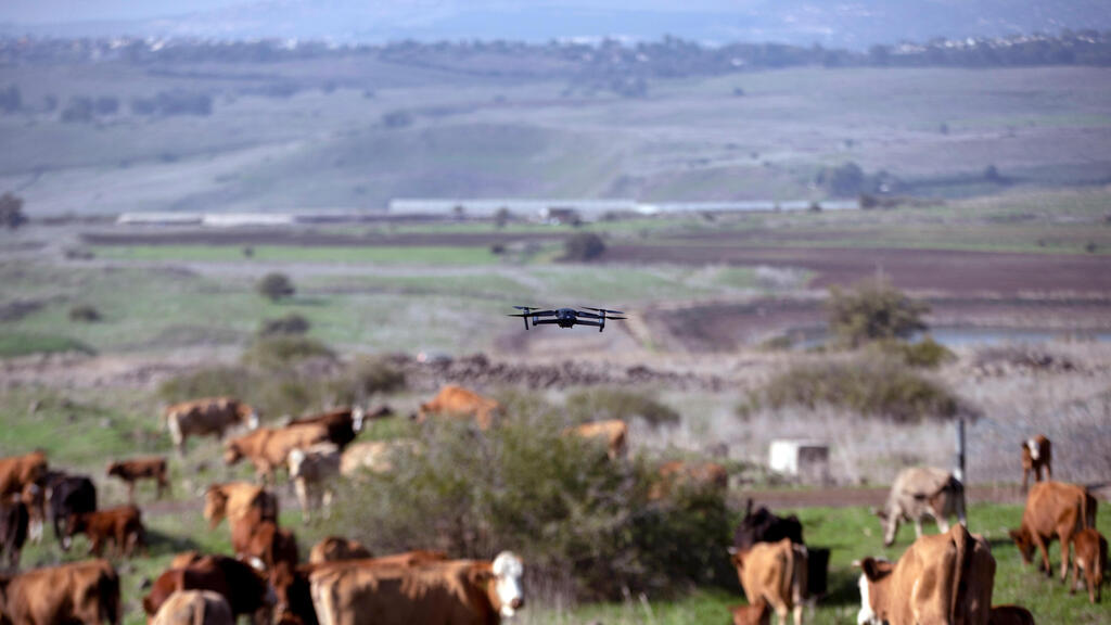 herding cattle by Drone, an Israeli company promotes new technologies in farming 