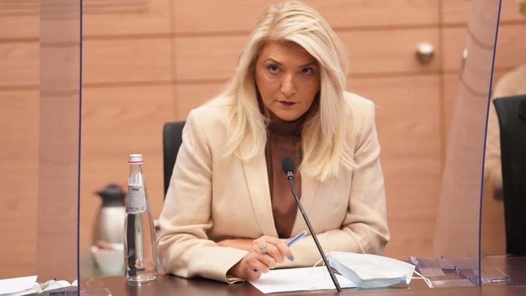 "לא תשב לנצח בוועדה לבחירת שופטים". אסנת מארק (צילום: דוברות הכנסת ) אסנת מארק