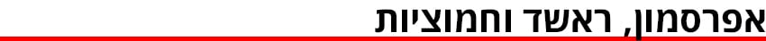 ביניים