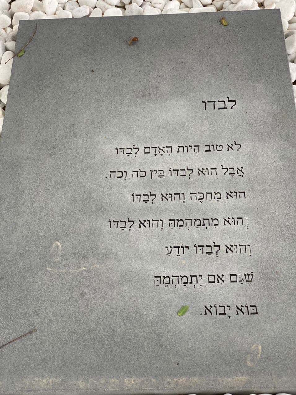 קברו של נתן זך קברו של נתן זך