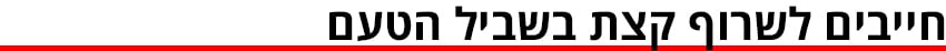 ביניים (גרפיקה ynet) ביניים