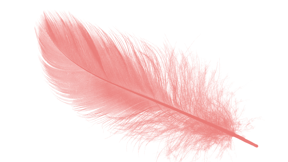 הדברים הקטנים שעושים את ההבדל (צילום: shutterstock) הדברים הקטנים שעושים את ההבדל