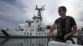  פעיל ארגון למען בעלי חיים Sea Shepherd ב מפרץ קליפורניה שב מקסיקו 