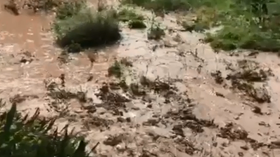 החומר שנהג המיכלית הצליח לפרוק