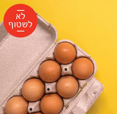shutterstock מנטה שטיפת מזון שטיפה