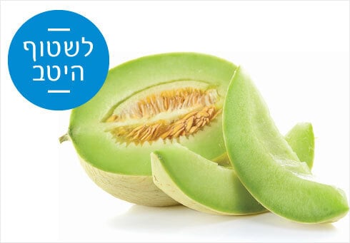 shutterstock מנטה שטיפת מזון שטיפה