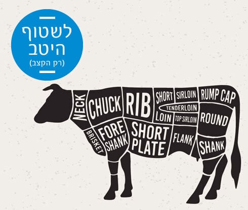 shutterstock מנטה שטיפת מזון שטיפה