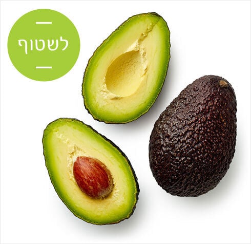 shutterstock מנטה שטיפת מזון שטיפה