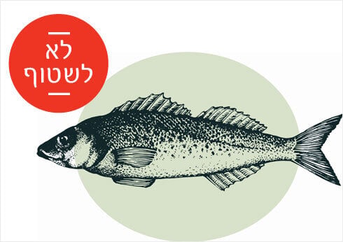 shutterstock מנטה שטיפת מזון שטיפה