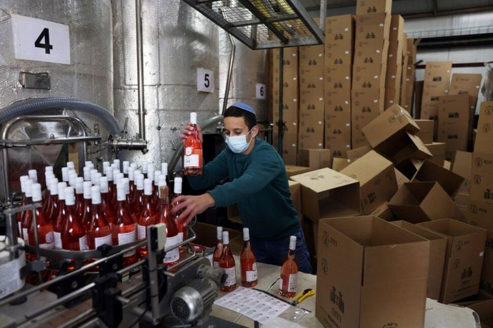 An employee sorts wine bottles as he works at Tura Winery in Rehelim, an Israeli settlement in the occupied-West Bank 