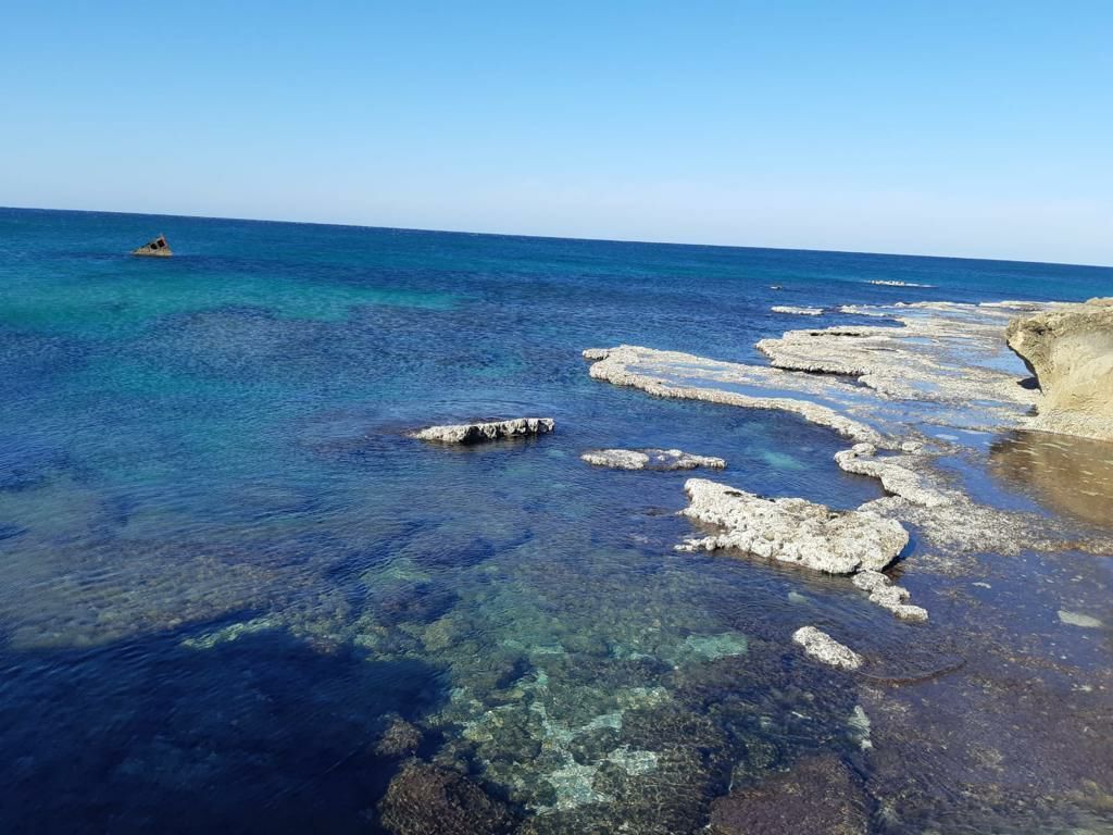 מסייע בהגנה על החוף. חוף הכרמל
