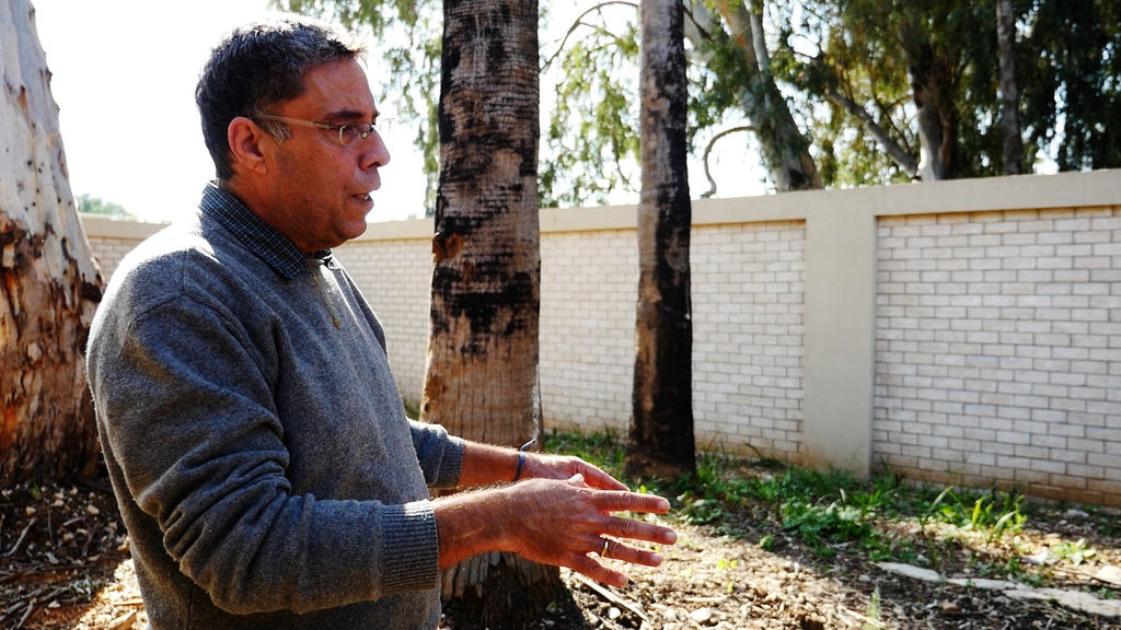 אייל זיו