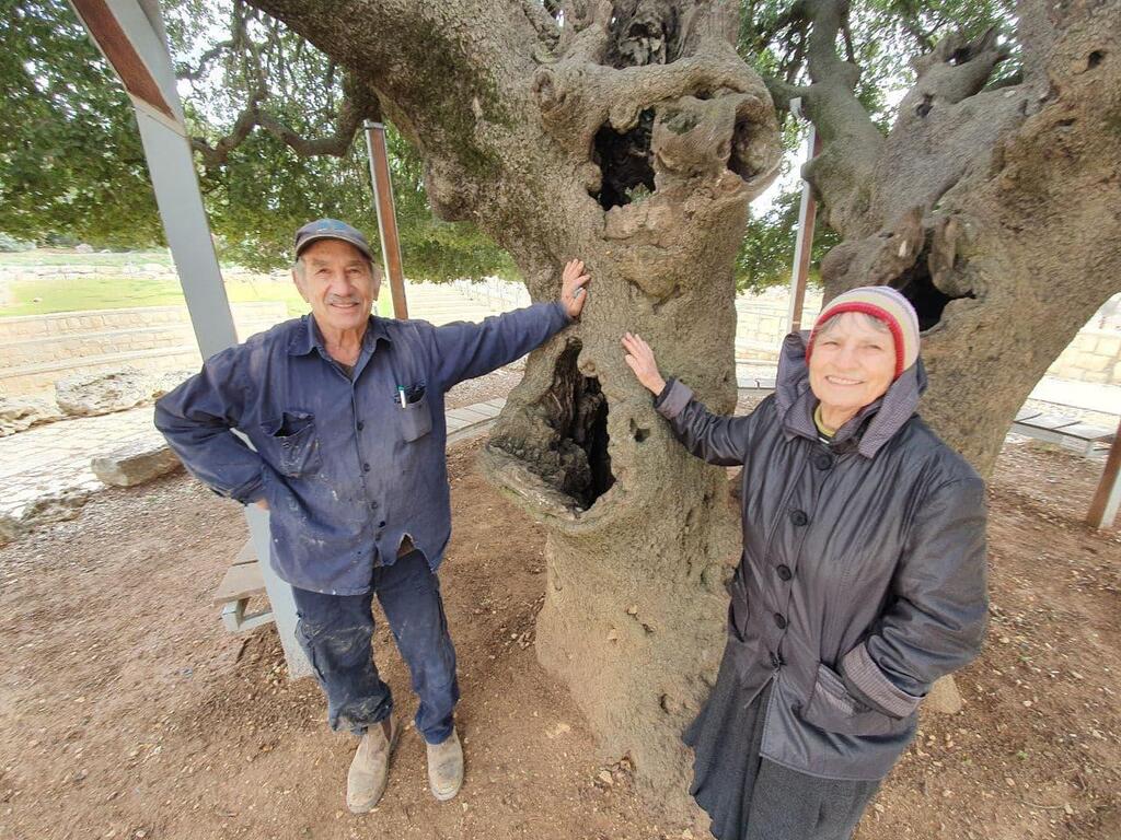  סימה גיליס ויהושע אלטמן