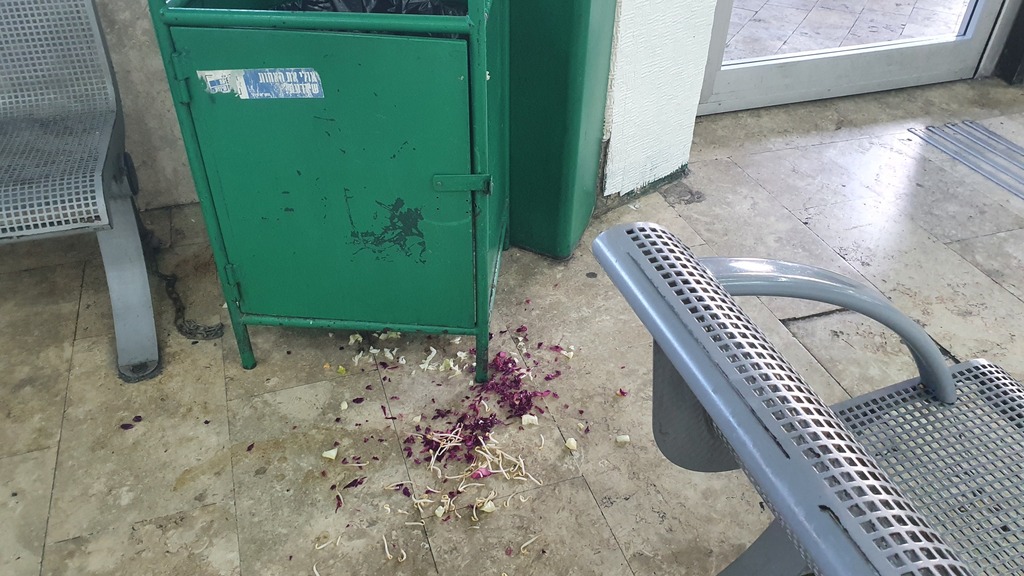התחנה המרכזית בתל אביב (צילום: אסף זגריזק) התחנה המרכזית בתל אביב