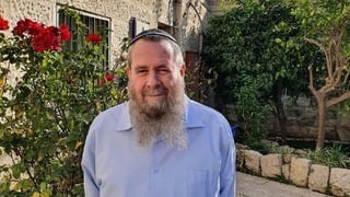 אבי מעוז