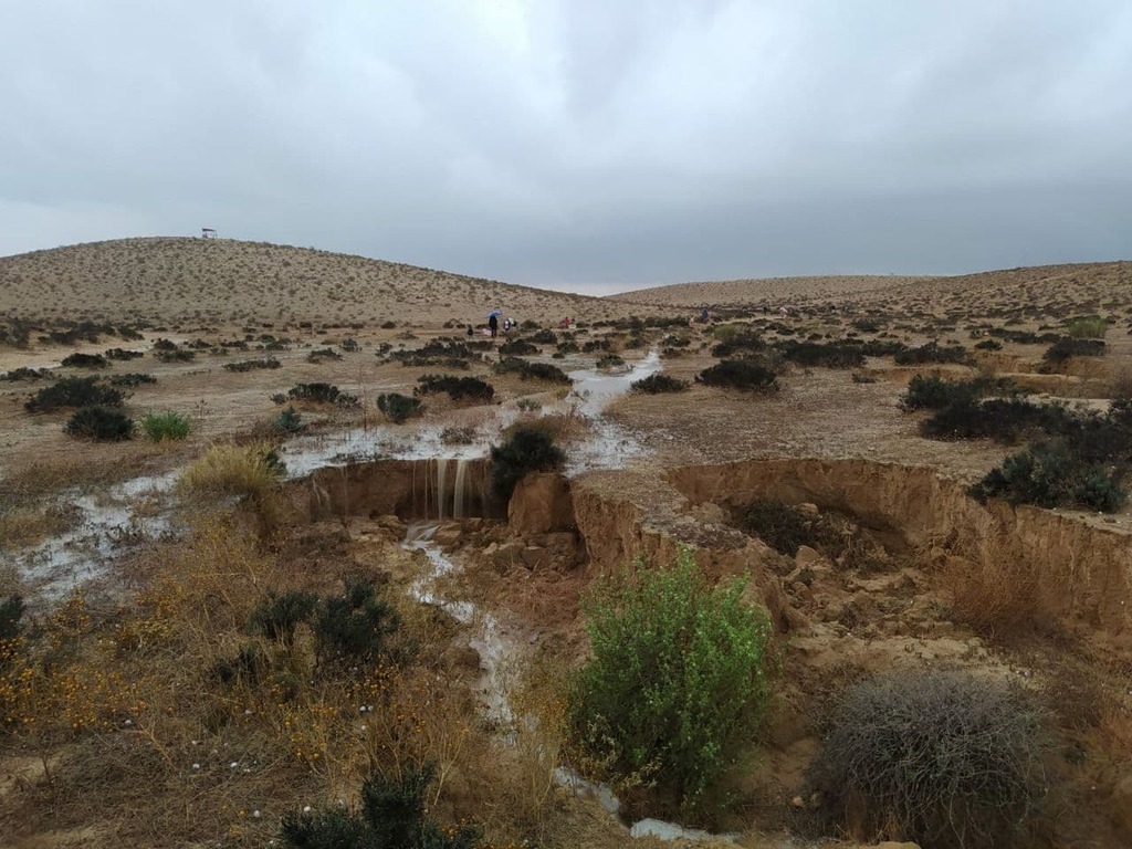 שיטפונות ליד שיזף שברמת נגב