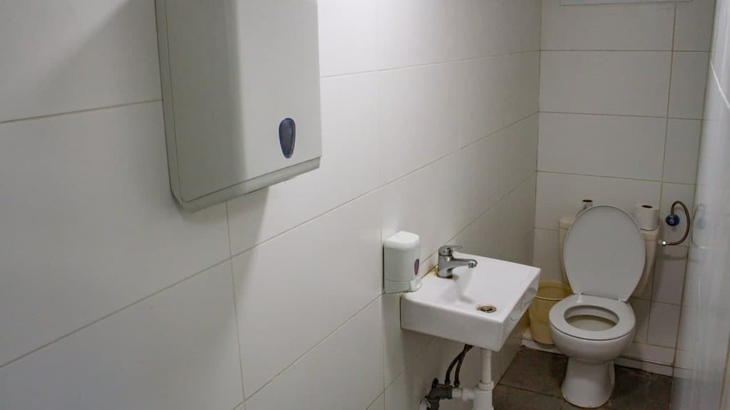 צילום: עידו ארז השירותים הציבוריים בגן האם בחיפה