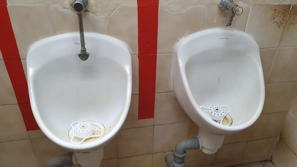 צילום: עידו ארז השירותים הציבוריים בגן האם בחיפה