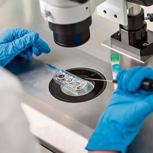 Fertility treatmeant (Photo: Shutterstock) טיפולי פוריות