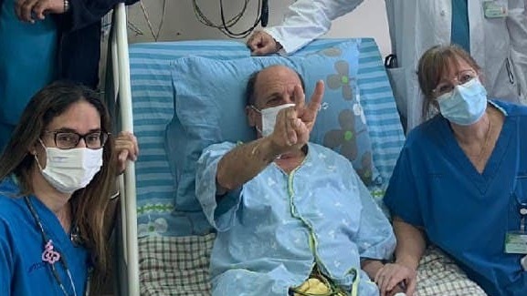 צפי פלד