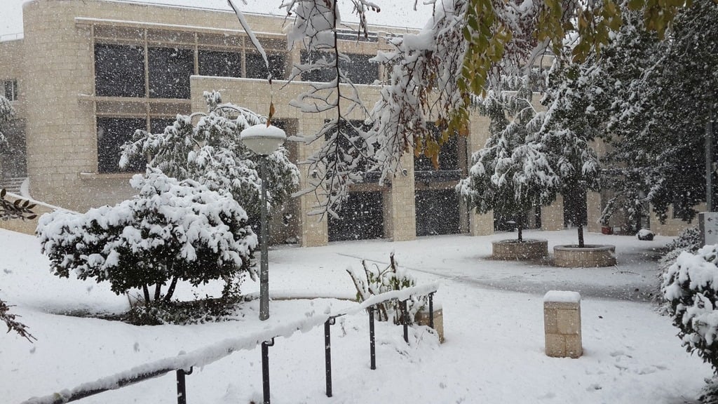צילום: האוניברסיטה העברית האוניברסיטה העברית בירושלים מושלגת