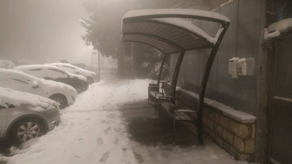 בירה לבנה (צילום: נועם חלפון) שלג בירושלים