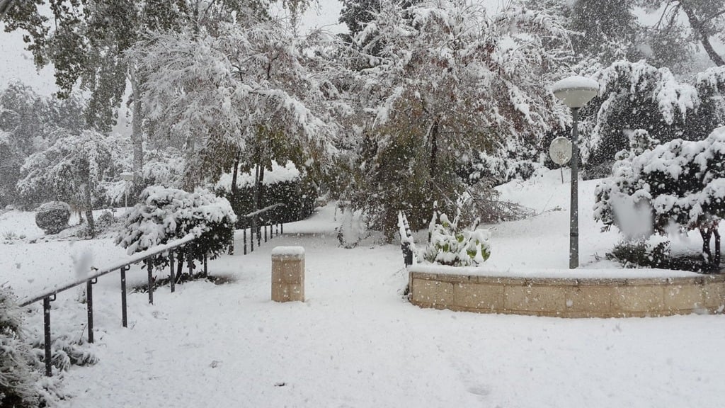 האוניברסיטה העברית בירושלים מושלגת (צילום: האוניברסיטה העברית) האוניברסיטה העברית בירושלים מושלגת