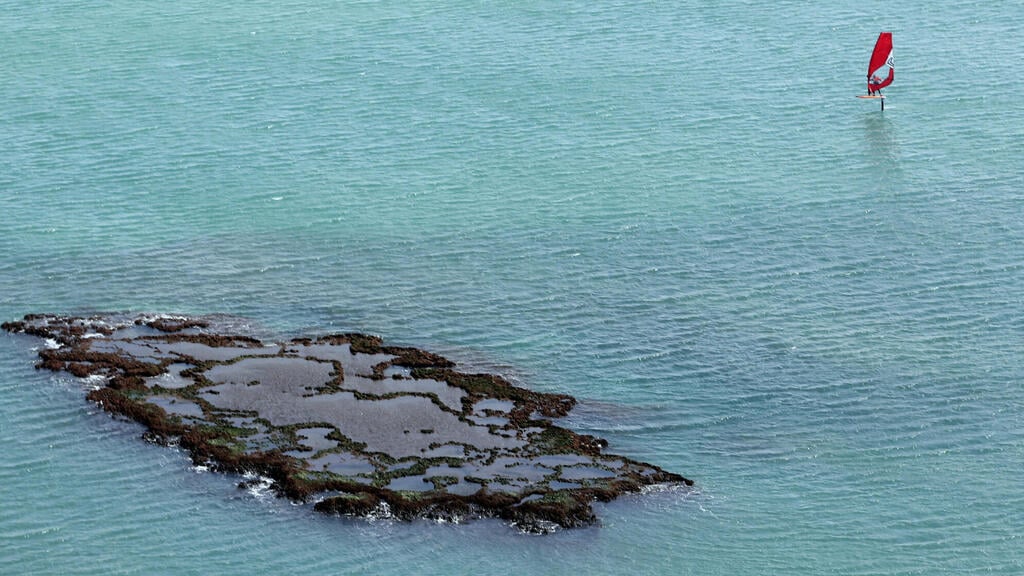 A concentration of tar off the coast of Atlit in northern Israel caused by the oil spill in the Mediterranean Sea earlier this month (Photo: Reuters) חוף עתלית