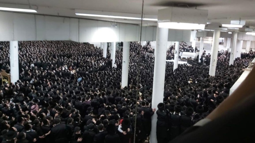 תיש בחסידות גור