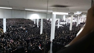 תיש בחסידות גור