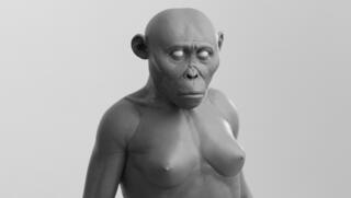 Research indicates early humans remained naked for 2.5 million years before adopting clothing