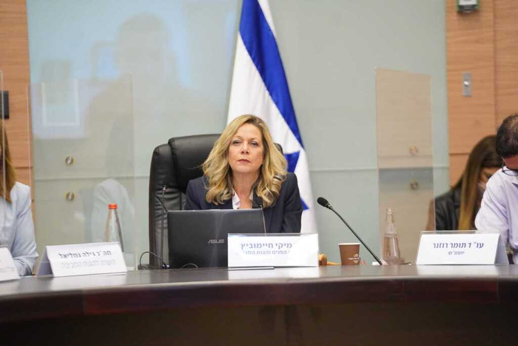 ח"כ חיימוביץ' בדיון (צילום: דני שם טוב, דוברות הכנסת) ועדת הפנים והגנת הסביבה, דיון בנושא אסון הנפט