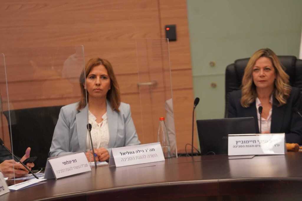 ח"כ חיימוביץ' והשרה גמליאל (צילום: דני שם טוב, דוברות הכנסת) ועדת הפנים והגנת הסביבה, דיון בנושא אסון הנפט