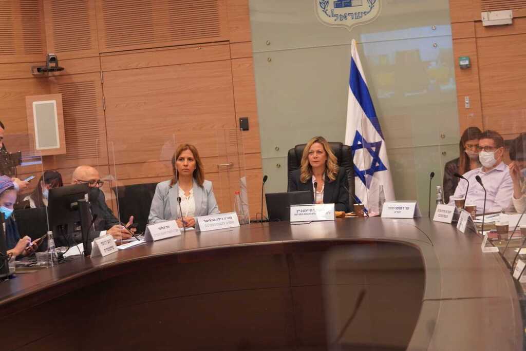 ועדת הפנים והגנת הסביבה, דיון בנושא אסון הנפט (צילום: דני שם טוב, דוברות הכנסת) ועדת הפנים והגנת הסביבה, דיון בנושא אסון הנפט
