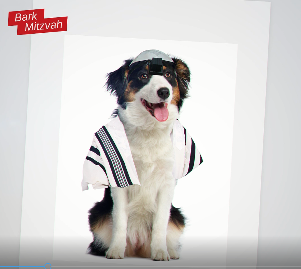 Screengrab from a United Torah Judaism election campaign video likening non-Orthodox Jewish converts to dogs (Photo: Screenshot) הסרטון הגזעני של יהדות התורה שמשווה בין מגויירים לחיות