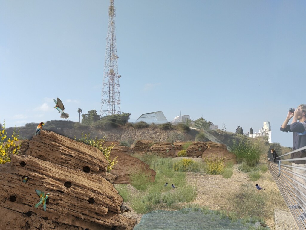 גושי הכורכר שהוצאו במהלך הבנייה יהפכו למערכת אקולוגית על הגבעה (הדמיה: מיה עתידיה) קוזלובסקי