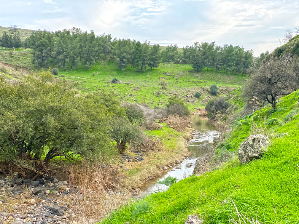 טיול בנחל תבור: גבעות ירוקות ותורמוסים כחולים