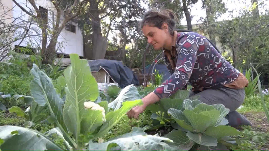 "יש משהו מדהים בלעבוד בתוך צוות נשי, ביכולת לדיאלוג, ביכולת לקבל החלטות ביחד". קרן פטר, ההרבליסטית של אמ"ן (צילום: ליהי קרופניק) אדמת מרפא נשית