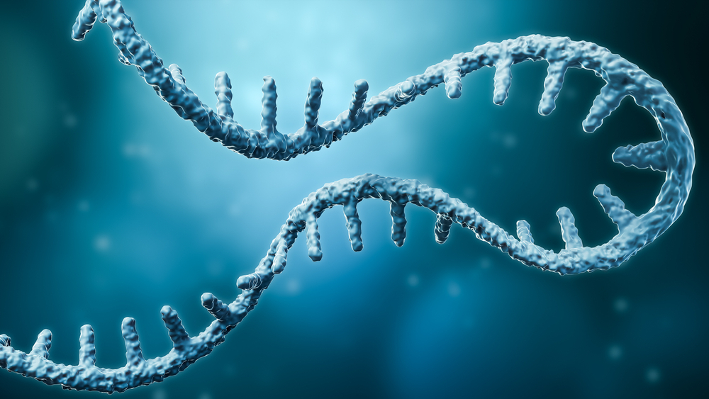 A render of an mRNA molecule (Photo: Shutterstock) מולקולה mRNA