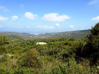 האזור שעלול להיפגע