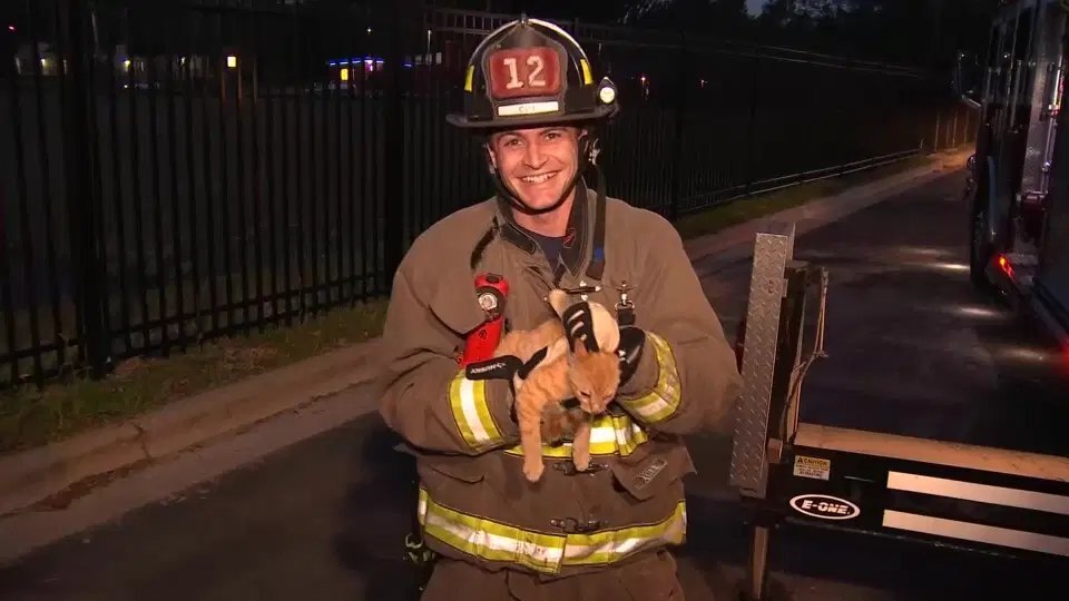 פול עם פול