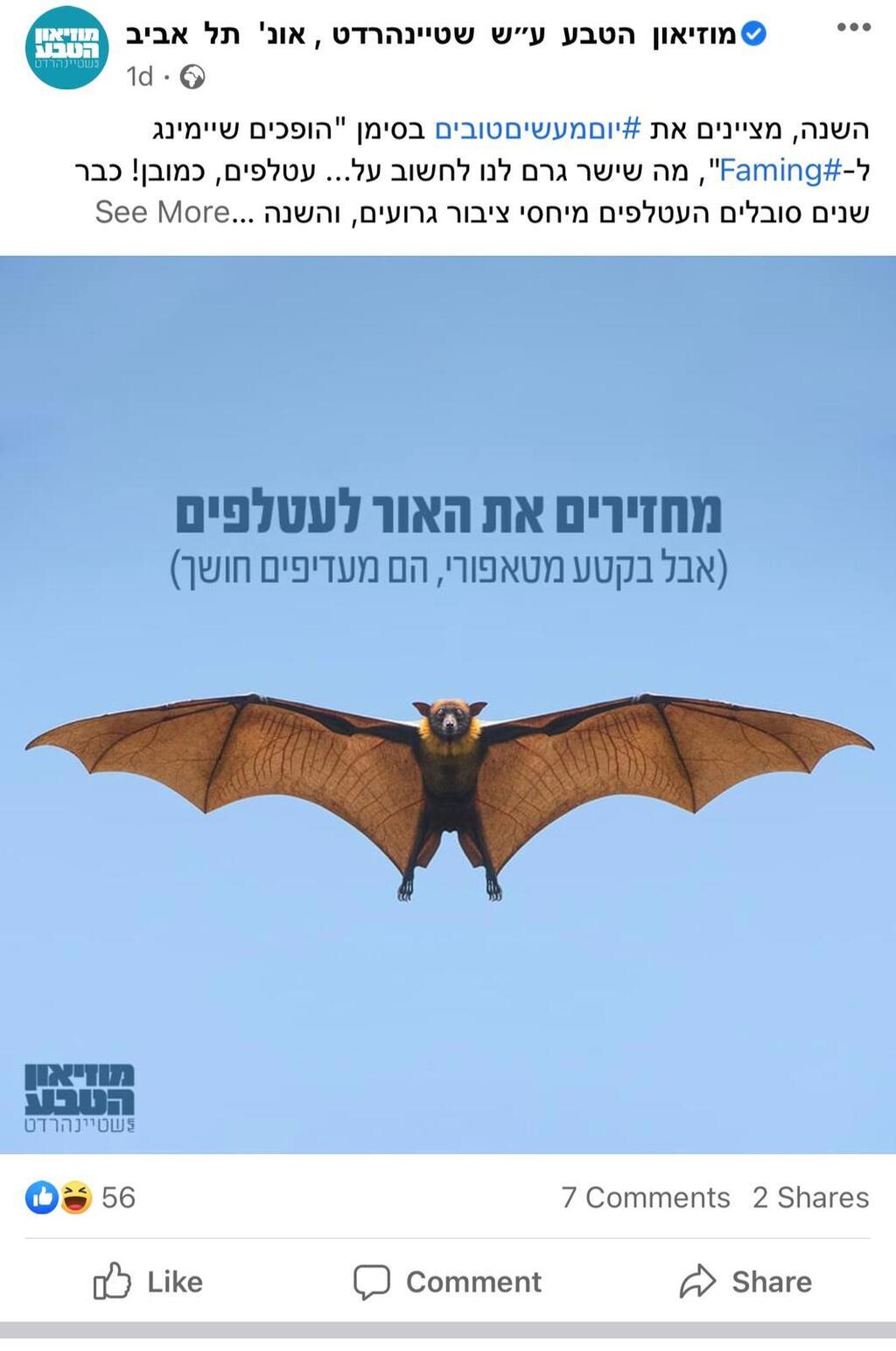 מוזיאון הטבע עושה פיימינג לעטלפים מוזיאון הטבע עושה פיימינג לעטלפים
