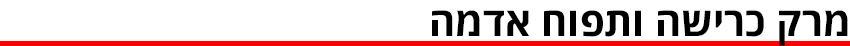ביניים ביניים